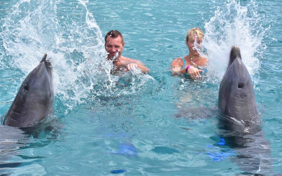 Marco | Droomhuis op Curacao